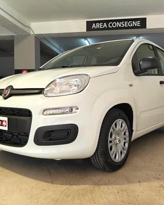 FIAT Panda 3ª serie Panda 1.0 FireFly S&S Hybr...