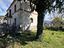 Immagine 5