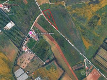 Terreno agricolo assemini 3540 mq