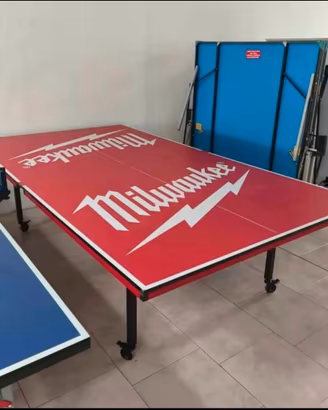 ping pong professionali