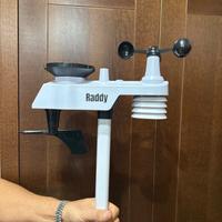 Raddy WF-100C - Stazione meteo professionale