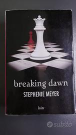 breaking dawn