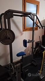 rowing dorsali 