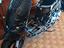 Immagine 5