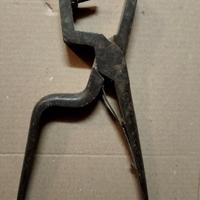 Pinza 