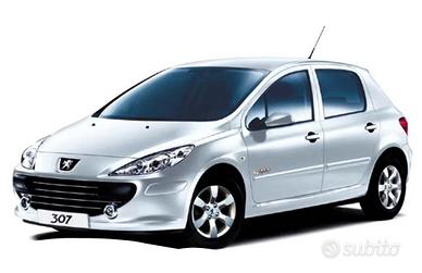 4 cerchi in lega Peugeot (307) 