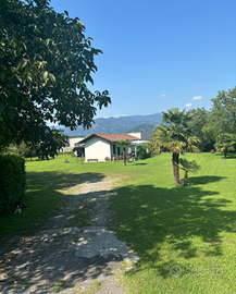 5000 mq di verde con casa e grande potenziale