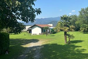 5000 mq di verde con casa e grande potenziale