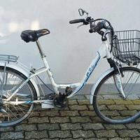 Bici elettrica 