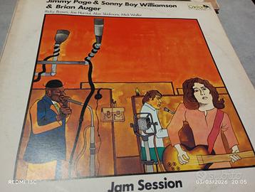 Vinile Jimmy Page Sonny Boy Williamson B. Auguer