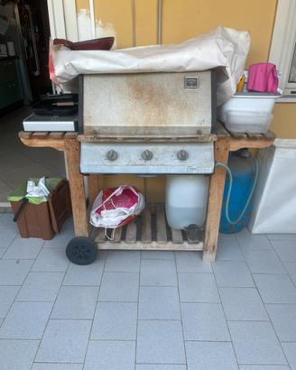 Barbecue da giardino