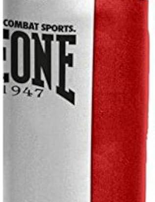 sacco boxe leone 60 kg