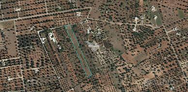 TER. AGRICOLO A SAN VITO DEI NORMANNI