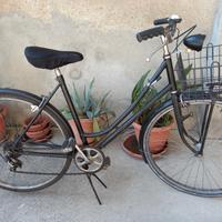 bici 26 "
