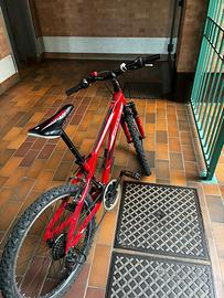 Bici mtb 24 pollici