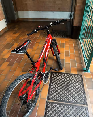 Bici mtb 24 pollici