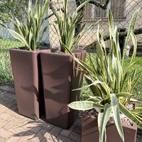 Vasi interno/esterno