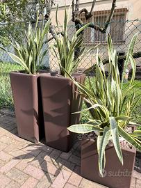 Vasi interno/esterno