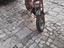 Immagine 1