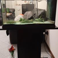 acquario 70 litri ancora in funzione con mobile