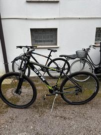 Bici Daytona