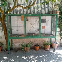 voliera grande 