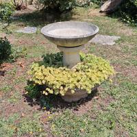 Vasi in cemento circolari per giardino ed esterni