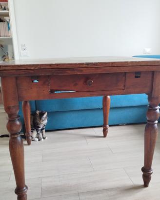 Tavolo da cucina / salotto