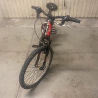 Bicicletta mountain bike