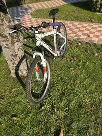 Mountain bike Mondial