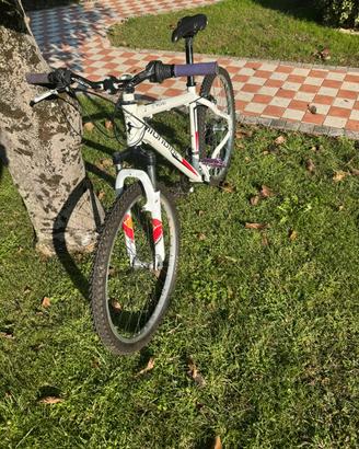 Mountain bike Mondial