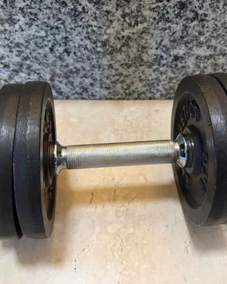 Manubrio palestra