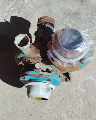 Pompa Caprari con puleggia