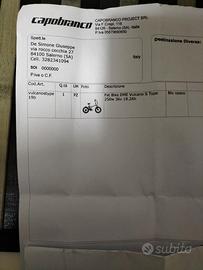 Bicicletta elettrica Vulcano