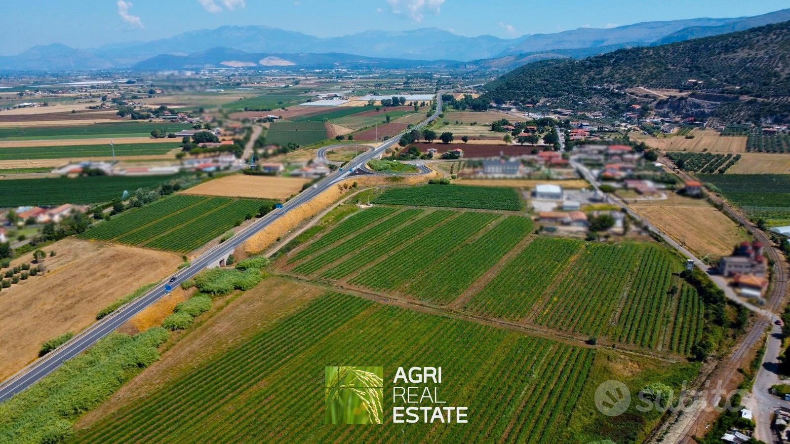 Terreno agricolo pianeggiante di 10 ettari - Vista 4