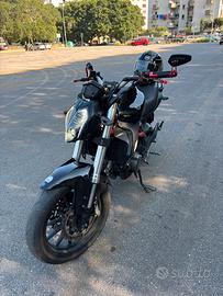 Benelli 302s 2019