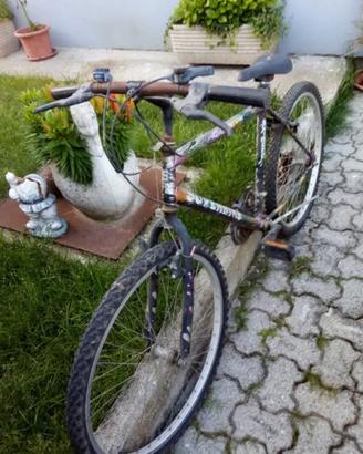 Bicicletta