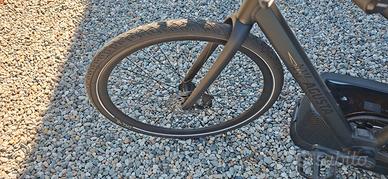 bici elettrica