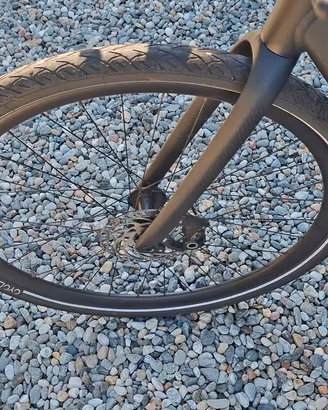 bici elettrica