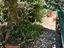 Immagine 29