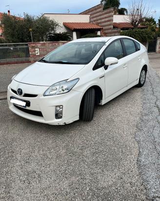 Toyota Prius Ibrida