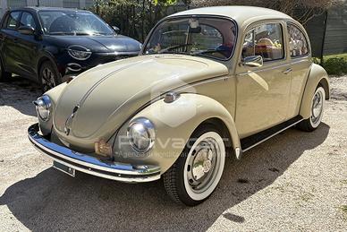 Volkswagen Maggiolino 11/D 11