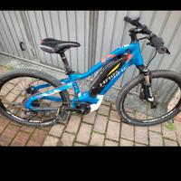 haibike ebike bimbo 24