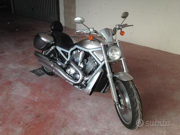 Harley Davidson vrsca v-rod