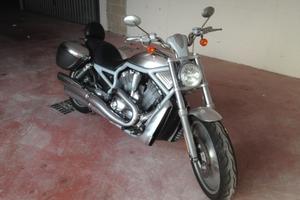 Harley Davidson vrsca v-rod
