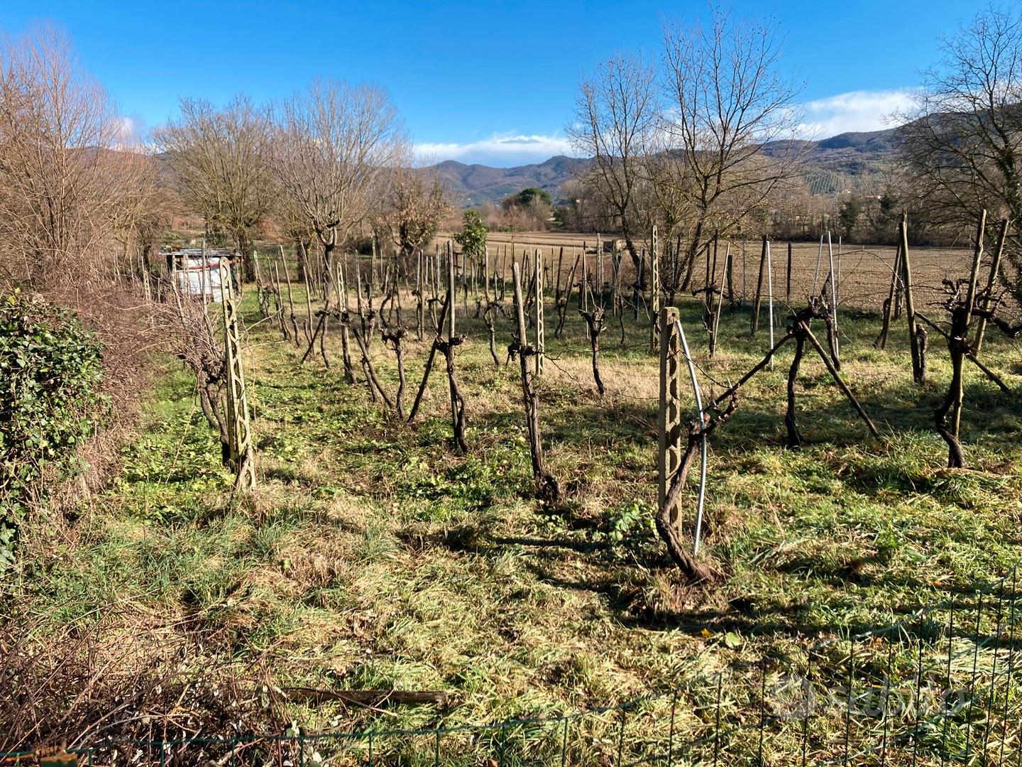 Terreno agricolo in Valdichio - Vista 4