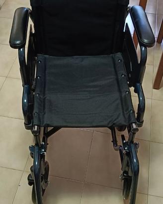 Sedia a Rotelle