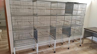 Attrezzatura per volatili 