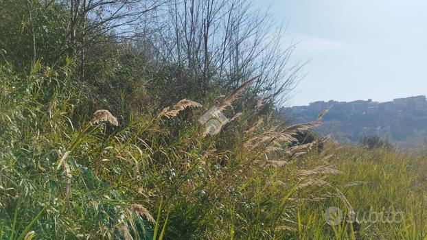 TER. AGRICOLO A MENTANA