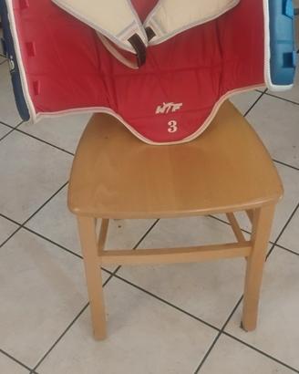 protezione taekwondo 